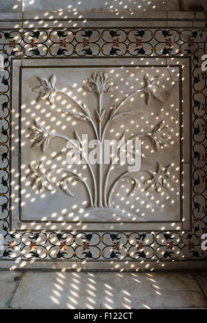 Agra, Uttar Pradesh, India. El Taj Mahal; detalle floral grabado en un bajorrelieve de mármol en dfappled panel de luz que entra a través de una pantalla de celosía. Foto de stock