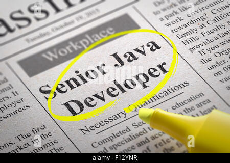 Senior Java Developer vacante en el periódico.