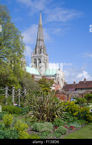 Catedral de Chichester visto desde los Obispos camina jardín. West Sussex, UK Foto de stock