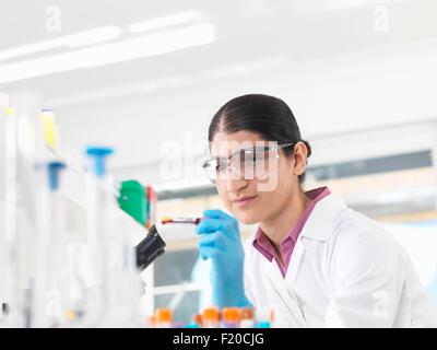 Joven Científico ver tubo de sangre durante los ensayos clínicos de las muestras médicas en un laboratorio