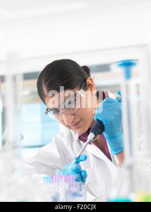 Joven Científico el pipeteo de muestra en frasco en un laboratorio utilizado para productos químicos y las pruebas de ADN Foto de stock