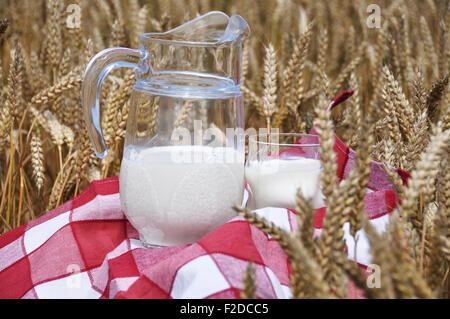 Jarra de leche entre espigas de trigo Foto de stock