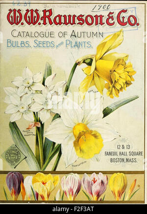 Catálogo de otoño bulbos, semillas y plantas pequeñas Foto de stock