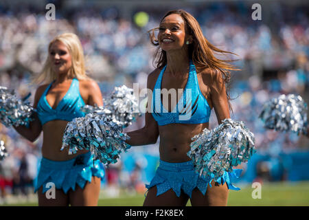 Charlotte, Carolina del Norte, EE.UU. 13 de diciembre de 2015. Las Panteras  de Carolina Topcats cheerleaders durante el juego de fútbol americano de la  NFL entre los Atlanta Falcons y Carolina Panthers