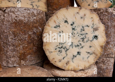 Sección transversal de ronda de queso Stichelton, un veteado, Stilton-como el queso azul a la venta en el mercado de Borough, South Bank de Londres, Reino Unido Foto de stock