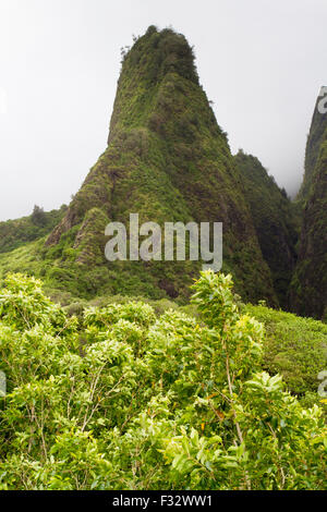 La IAO Needle, IAO Valley, hito natural nacional en West Maui, Hawai, en un brumoso día de agosto Foto de stock