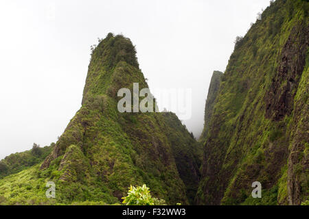 La IAO Needle, IAO Valley, hito natural nacional en West Maui, Hawai, en un brumoso día de agosto Foto de stock