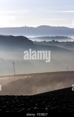 Postes de telégrafo en la niebla de la mañana,brumoso amanecer sobre Devon fields, valle Teign,valla,Ford,Haldon duns,halón belvedere,Lawrence remolcar