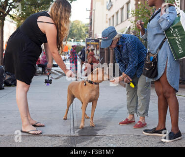 Las mujeres dejen de decir hola a un perro en Harlem, Nueva York Fotografía  de stock - Alamy