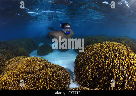 El 15 de octubre, 2014 - Mman nada sobre un arrecife de coral, el Océano Índico, Maldivas © Andrey Nekrasov/Cable/ZUMA ZUMAPRESS.com/Alamy Live News Foto de stock