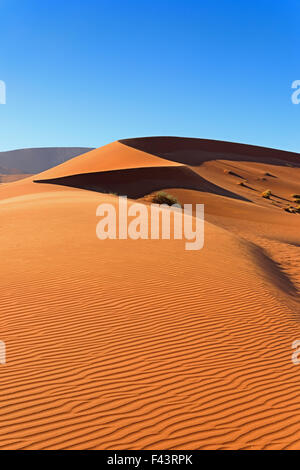 Dunas de arena roja al amanecer casting sombras agradables con viento que sopla arena en Sossusvlei, Namibia Foto de stock