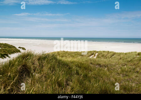 El 3 de julio de 2014 Ruta a través de las dunas de la playa del Mar del Norte en Kaap Hoorn. Foto Kees Metselaar