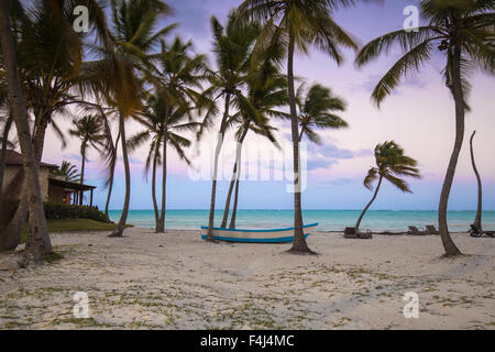 Playa de Cap Cana, Punta Cana, República Dominicana, Antillas, Caribe, América Central Foto de stock