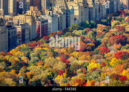 Vista aérea de brillantes colores de otoño de Central Park West follaje en las últimas horas de la tarde. El Upper West Side, Manhattan, Ciudad de Nueva York