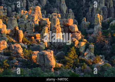 Ee.Uu., país, Estados Unidos, Arizona, Wilcox, Chiricahua, Monumento Nacional, Parque, Apache Stronghold, hoodoo, naturaleza, Gerónimo Foto de stock