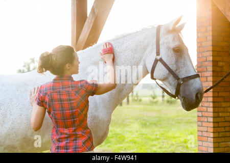 Mujer caballo cepillado Foto de stock