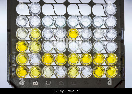 Muchos pequeños tubos capilares están ordenados en un estante blanco para examen enzymimmunoassay, EIA Foto de stock