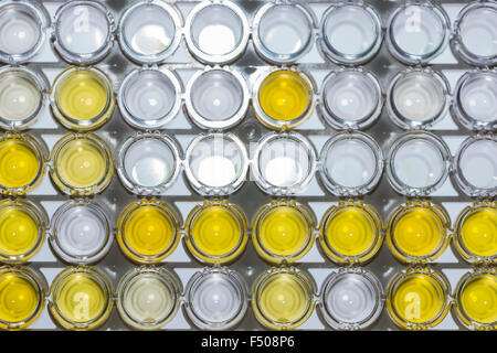 Muchos pequeños tubos capilares están ordenados en un estante blanco para examen enzymimmunoassay, EIA Foto de stock