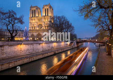 Catedral de Notre Dame y la iluminación del árbol de Navidad en la noche con el río Sena, Ile de la Cité, París, Francia