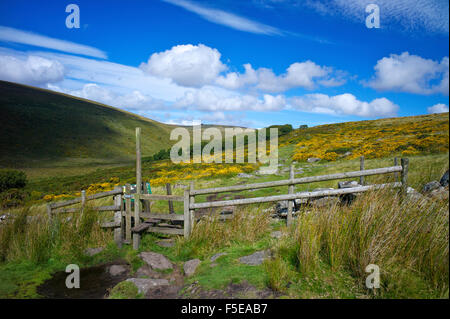 El sendero hacia la madera Wistman en Dartmoor, Devon, Inglaterra, Reino Unido, Europa Foto de stock