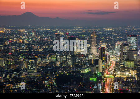 Vista general de Tokio,desde Roppongi Hills,Minato-Ku, Tokio, Japón