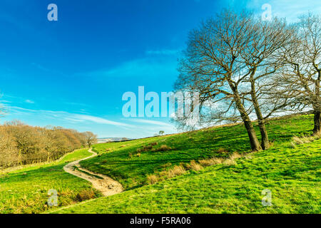 Camino serpenteante en madera, Holmfirth Digley cerca de Peak District, Yorkshire, Inglaterra, Reino Unido.