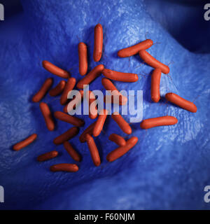 Médicos ilustración de la bacteria Pseudomonas aeruginosa Foto de stock
