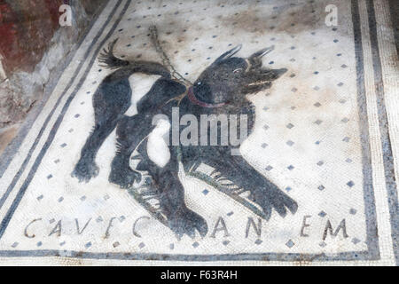 CAVE CANEM - Cuidado con el perro suelo de mosaico en el atrio de la casa del poeta trágico en Pompeya, Italia