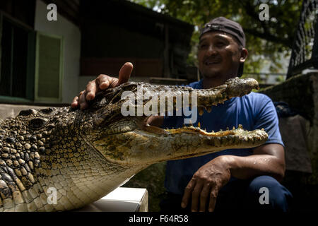 De Medan, Indonesia. 11 Nov, 2015. Un cocodrilo handler y su cocodrilo  esperar comida en un receptáculo de cocodrilo en Medan, Indonesia, del 11  de noviembre de 2015. En Indonesia el jefe antidrogas Budi Waseso ha  propuesto construir una cárcel ...