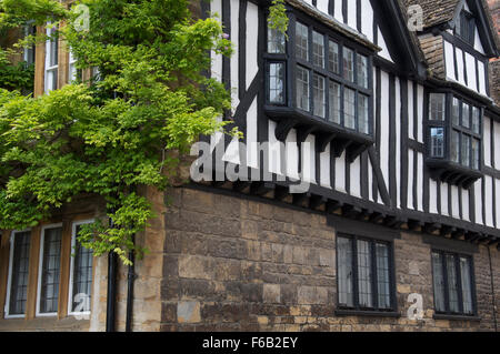Abbeylands isabelina, un edificio en la calle baratos, Sherborne. Ahora una pensión para los estudiosos de la escuela de Sherborne. Dorset, Inglaterra, Reino Unido. Foto de stock