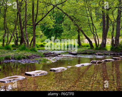 Pasaderas y arroyo en el bosque de Cannock Chase una Zona de Excepcional Belleza Natural en Staffordshire Inglaterra Foto de stock