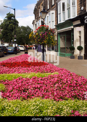 Flores en Montpelier Hill en el verano de Harrogate North Yorkshire, Inglaterra Foto de stock