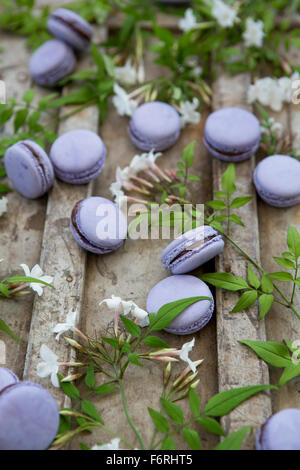 Lavender & Macarons de chocolate con flores de jazmín