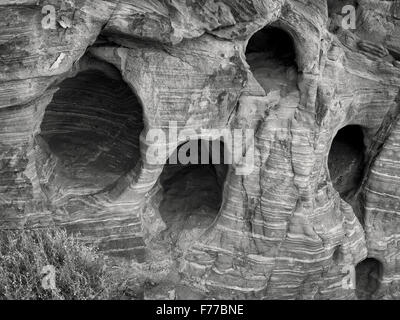 Agujeros erosionadas en piedra arenisca. El Parque Estatal Valle del Fuego, Nevada