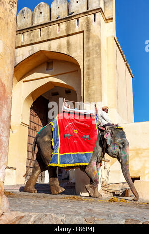 Paseos en elefante para turistas en frente del Fuerte Amber, Jaipur, Rajasthan, India Foto de stock