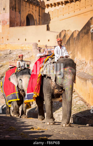 Elefantes montando para los turistas en Amber Fort, Jaipur, Rajastán, India Foto de stock