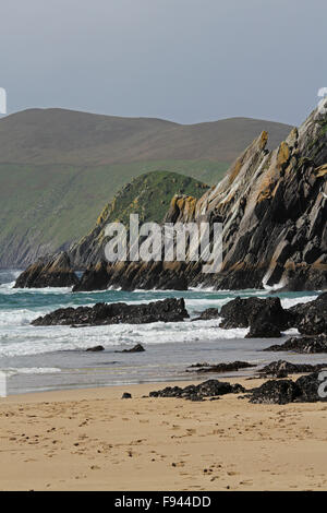 Hacer surf en la playa Coumeenoole atlántico, Dunmore Head en la península Dingle con gran Blasket Island en el fondo Foto de stock