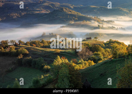 Ver coutryside Transilvania con colinas de niebla Foto de stock