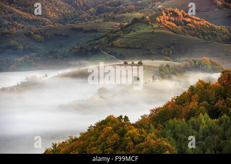 Paisaje con colinas de Transilvania en la niebla al amanecer. Foto de stock