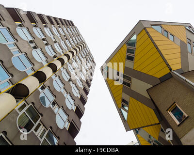 Las casas Cubo (Kubuswoningen) del arquitecto Piet Blom junto a la vecina "Blaakse Bos' (a la izquierda) en Rotterdam, Países Bajos. Foto de stock