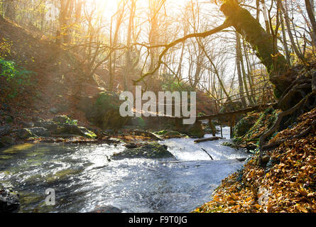Puente de madera y río de montaña en otoño