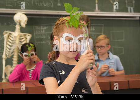 Escolares con profesor haciendo experimento en la clase de biología, Fürstenfeldbruck, Baviera, Alemania Foto de stock