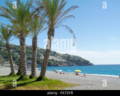 Las palmeras en la playa de España sobre un cielo azul Foto de stock