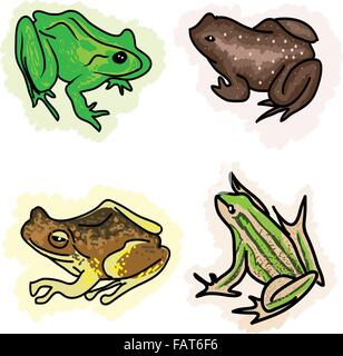 Una ilustración colección de hermosas especies de anfibios, ranas y sapos Isoleted sobre fondo blanco. Ilustración del Vector