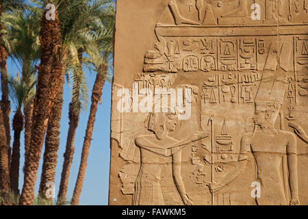 Friso con jeroglíficos egipcios en la pared en el complejo del templo de Karnak, Luxor, Egipto Foto de stock