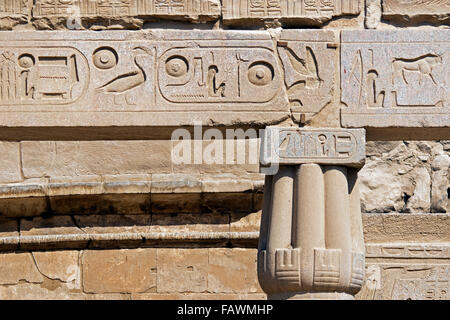 Detalle mostrando jeroglíficos egipcios antiguos en el muro del Templo de Luxor en Egipto Foto de stock