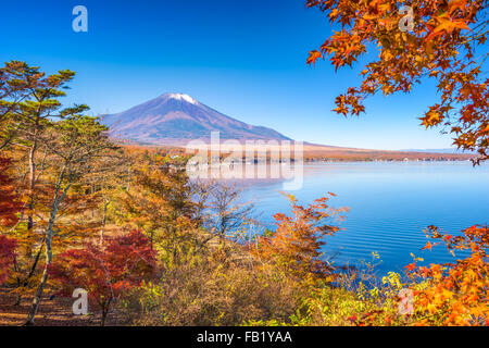 Mt. Fuji, Japón desde el lago Yamanaka en otoño. Foto de stock
