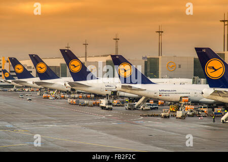 Aviones de Lufthansa en el aeropuerto internacional de Frankfurt, Frankfurt, Hesse, Alemania Foto de stock