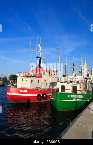 Arrastrero en el puerto de Heiligenhafen, Mar Báltico, Schleswig-Holstein, Alemania Foto de stock