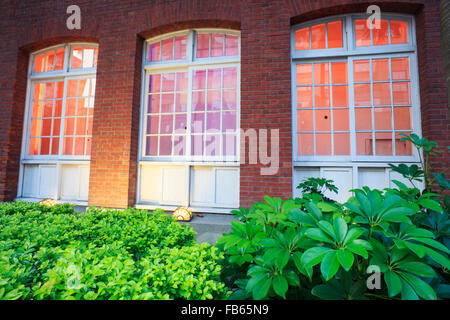 La vidriera de un edificio viejo, Taiwán Foto de stock